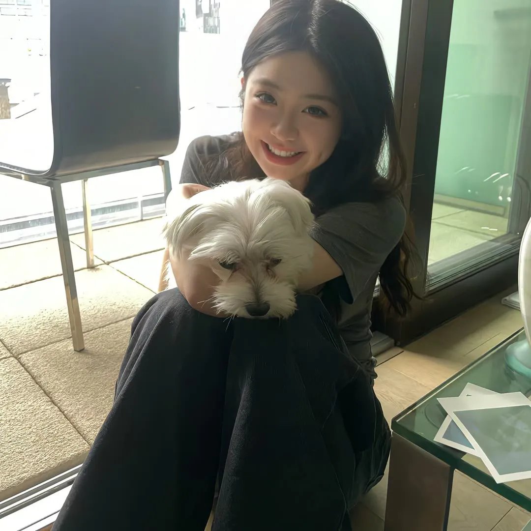 杰拉德历险记